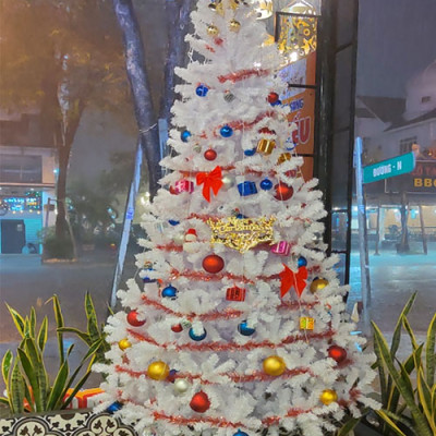 Cây thông noel màu trắng  - Cây thông noel đẹp - Tán dày và đều, cây thông chắc chắn, dể tháo lắp