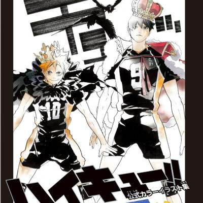 ハイキュー！！公式カラーイラスト集ハイカ JEISHI HAIKYUU ! ! KOUSHIKI KARA IRASUTO
