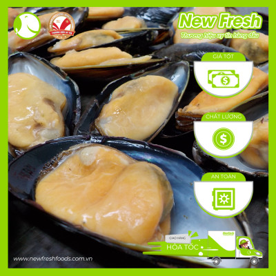 [GIAO NHANH HCM] Vẹm Đen Chile Nửa Mảnh - Túi 500Gr