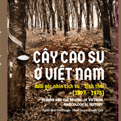 Cây cao su ở Việt Nam dưới góc nhìn lịch sử - Sinh thái (1897-1975)