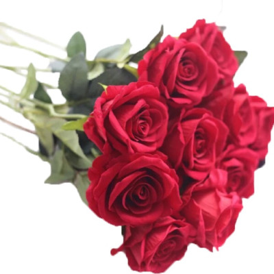 Hoa hồng nhung giả bông to cành dài 70cm đường kính bông 10cm chất liệu nỉ nhung - HÀNG CAO CẤP