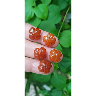 Mặt Bông Hoa cỏ 4 lá màu cam đậm nữ phối vòng tay,làm mặt nhẫn Chất liệu đá cẩm thạch size hạt 15mm x dầy 6mm Nữ về phối với vòng tay của mình đeo hay làm mặt nhẫn mặt dây chuyền đeo xinh ạ