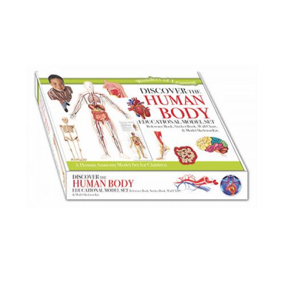 Wol Model Set - Human Body