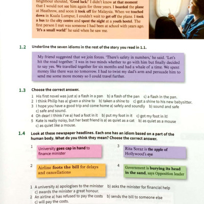 English Idioms In Use Advanced Book With Answers (Vocabulary In Use)