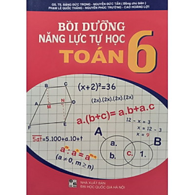 Sách - Bồi dưỡng năng lực tự học Toán 6