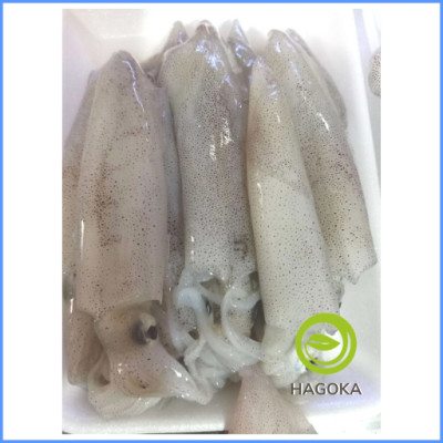 [Chỉ giao HCM] 500gr MỰC ỐNG LAO(1-10con/kg)