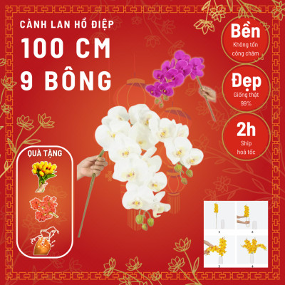 Cành lan hồ điệp giả cao cấp - 1 cành - 9 bông - dài 100cm - Cây giả, hoa lụa Decor trang trí nhà cửa