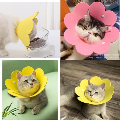 Loa chống liếm hình bông hoa dành cho chó mèo