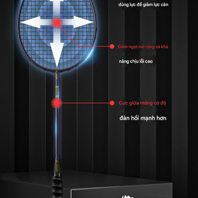 Bộ 2 Vợt Cầu Lông B01 Căng Sẵn 10kg Căng Max 12kg Full Carbon Đại Nam Sport + Tặng 3 Quả Cầu Lông Và Cuốn Cán