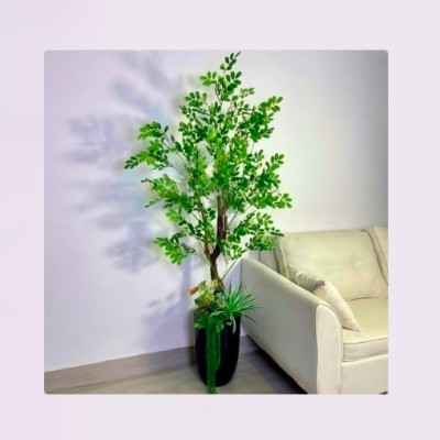 Cây thần diệu giả 170cm không chậu trang trí, decor nhà cửa, quán cafe