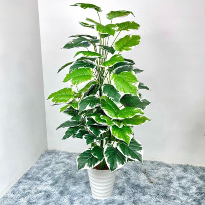 Cây trầu bà giả - Size từ 90cm đến 150cm - Cây lá viền trắng - Cây giả, hoa lụa trang trí nhà cửa