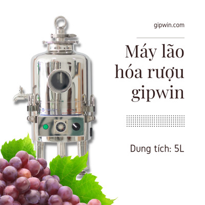 Máy lão hóa rượu và khử độc rượu GIPWIN 5L - Hàng chính hãng