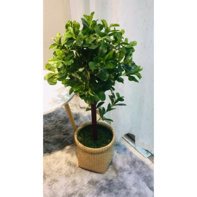 Cây hạnh phúc giả - Size từ 90cm đến 140cm - Kèm chậu phủ rêu - Cây giả, hoa lụa Decor trang trí nhà cửa