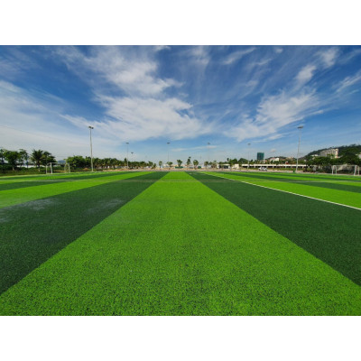 Thảm cỏ nhân tạo cỏ cao 2cm, trang trí trải sân vườn Hàng chuẩn loại đẹp cắt theo yêu cầu