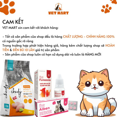 Hỗ Trợ Hô Hấp, Giải Độc nhanh chóng, Làm Ấm Cơ Thể Cho Gia cầm, gia súc - Five Hot Ginger (1 LÍT)