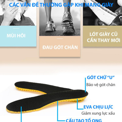 Lót giày thể thao tổ ong EVA loại cao cấp đế dày 1.8cm đàn hồi cực êm chân, thoáng khí - buybox - BBPK128 - Đế vàng mặt đen - Size nam