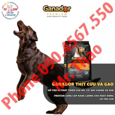 20KG Đủ Loại Thức ăn cho chó Ganador - FIB