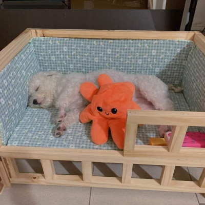 Giường ngủ cho thú cưng