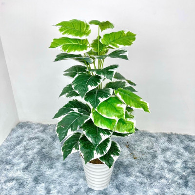 Cây trầu bà giả - Size từ 90cm đến 150cm - Cây lá viền trắng - Cây giả, hoa lụa trang trí nhà cửa