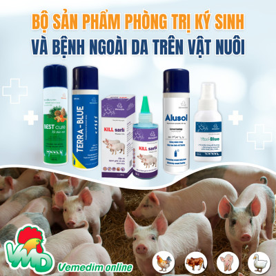 Fenben 10% (Fenbendazole) Đặc trị giun và sán cho chó, mèo, dùng được cho chó, mèo nhỏ và chó, mèo mang thai, Chai 120ml, Sản phẩm Vemedim