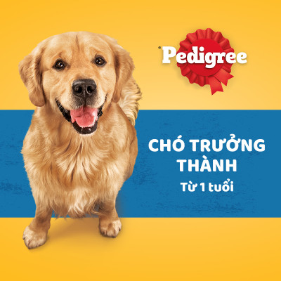 [Bộ 2] Thức Ăn Hạt Cho Chó Trưởng Thành Pedigree Adult 1+ Years Vị Gà, Rau Củ + Bỏ, Rau Củ 1.5kg/Túi