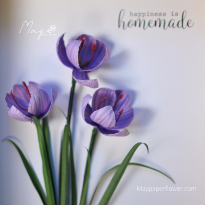 Tranh hoa giấy handmade trang trí cao cấp [20x25] cm - HOA NGHỆ TÂY Maypaperflower Hoa giấy nghệ thuật