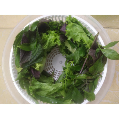 Bộ Quay Rau Lớn Matsu DUY TÂN No.807 | Ø 26,2 x 20 cm | Bộ Quay Ly Tâm - Ráo Nước Nhanh | TriTin