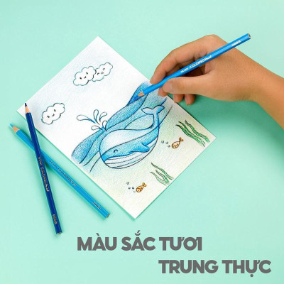 Hộp 24 Bút Chì Màu Kèm Chuốt Chì - Thiên Long CPC-C021