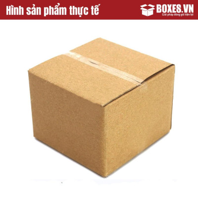 12x12x9 Combo 100 hộp Carton đóng gói hàng giá tại xưởng