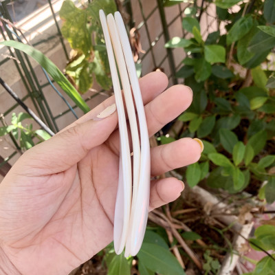 Thìa vỏ xà cừ truyền thống - size M (dài 13,5cm) CTH737 - Ăn kem/xúc gia vị/thìa cafe - An toàn cho sức khỏe