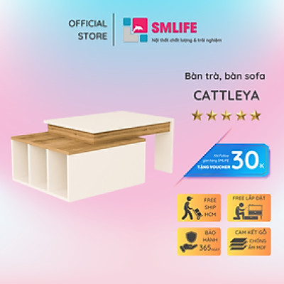 Bàn gỗ cafe bàn trà phòng khách SMLIFE Cattleya