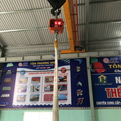 Cân Treo Điện Tử OCS-A 3 Tấn