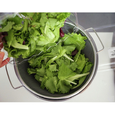 Rổ tròn Inox cao cấp Echo có tay cầm tiện dụng φ20cm - Nội địa Nhật 