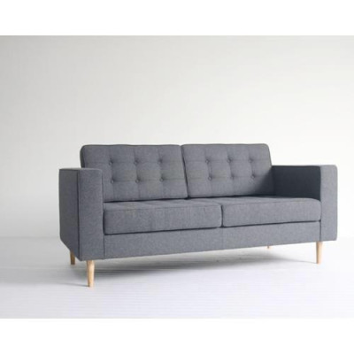 Ghế sofa băng phòng khách 2 chỗ ngồi bọc vải, bọc da, bọc nhung 