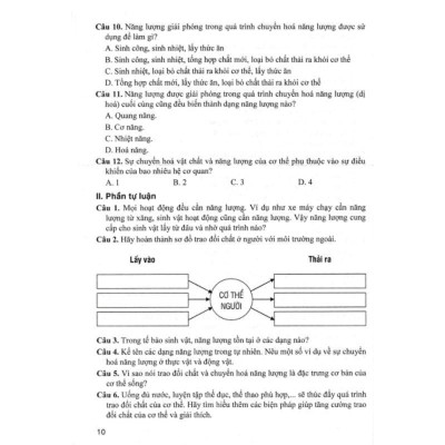 Sách - Bồi Dưỡng Học Sinh Giỏi Sinh Học Lớp 7 (Biên Soạn Theo Chương Trình GDPT Mới - Hồng Ân