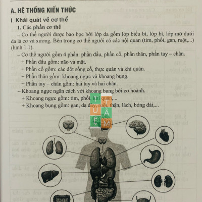 Sách - Bồi dưỡng học sinh giỏi Sinh học 8