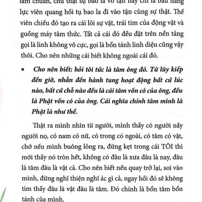 Tham Thiền