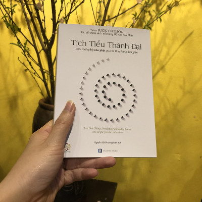 Combo "Bộ não của Phật"