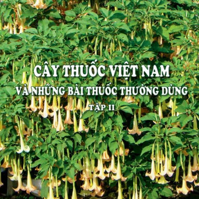 Sách - Combo trọn bộ Cây thuốc Việt Nam và Những bài thuốc thường dùng (Trọn bộ 4 cuốn)