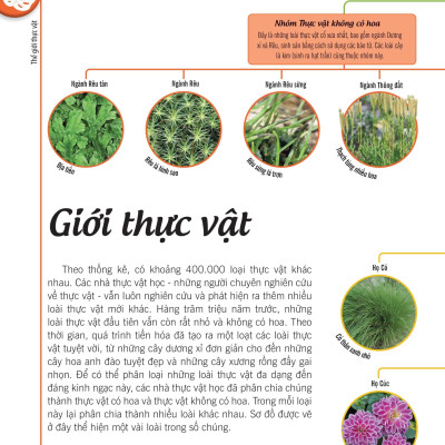 Bách Khoa Thư Về Thế Giới Thực Vật - Cây, Lá, Hoa Và Hạt