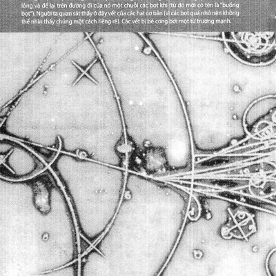 Nguồn Gốc - Nỗi Hoài Niệm Về Những Thuở Ban Đầu