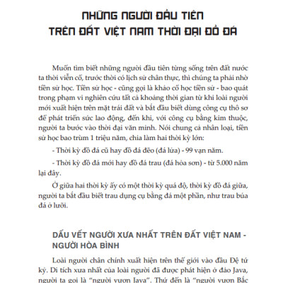 Lịch Sử Việt Nam Từ Nguồn Gốc Đến Thế Kỷ XIX (Bìa Mềm)