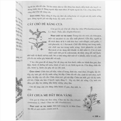 Sách Cây Thuốc Nam - Những Bài Thuốc Quí Từ Dân Gian (V1255P)