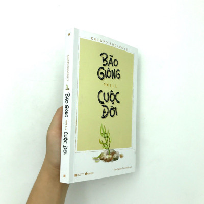 Bão Giông Mới Là Cuộc Đời