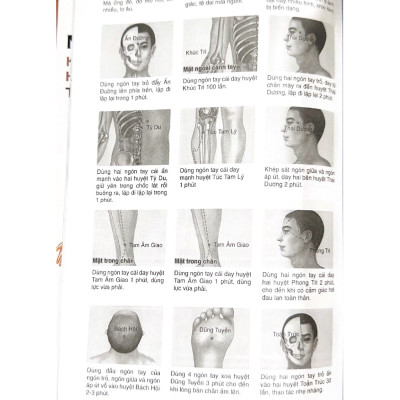 Massage Kinh Lạc Huyệt Vị Toàn Thư (Tái Bản) - Vanlangbooks