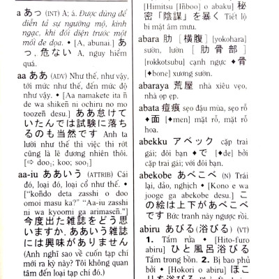 Từ Điển Nhật-Việt - Việt-Nhật (Tái Bản 2022)