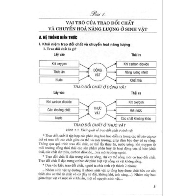 Sách - Bồi Dưỡng Học Sinh Giỏi Sinh Học Lớp 7 (Biên Soạn Theo Chương Trình GDPT Mới - Hồng Ân
