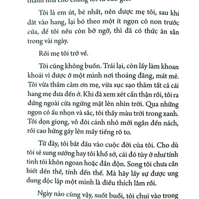 Dế Mèn Phiêu Lưu Ký – Ngô Xuân Khôi Minh Họa - Ấn Bản Kỉ Niệm 100 Năm Tô Hoài