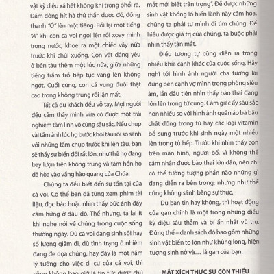 Cơ Thể Tự Chữa Lành: Giải Cứu Gan