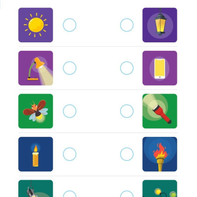 365 Ngày Siêu Trí Tuệ Nhí - Phát Triển Tư Duy Logic IQ Cho Trẻ Em 1 (MEGABOOK)